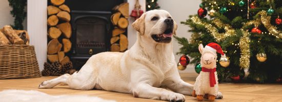 Weihnachten
