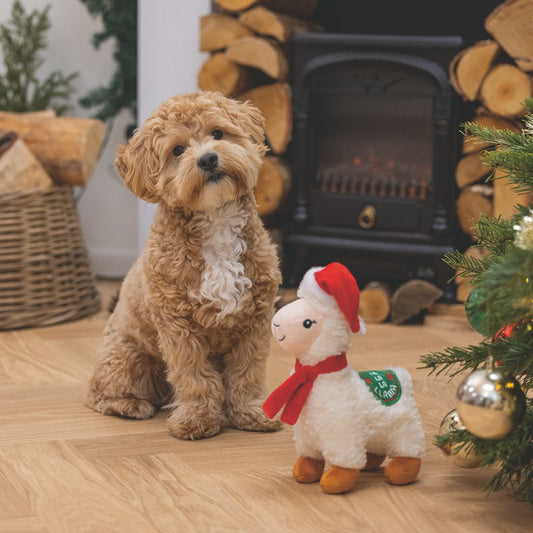 Beeztees XMAS Plüsch-Hundespielzeug Lama - 29 cm - Kuscheltier Plüschtier