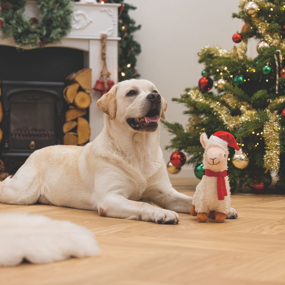 Beeztees XMAS Plüsch-Hundespielzeug Lama - 29 cm - Kuscheltier Plüschtier