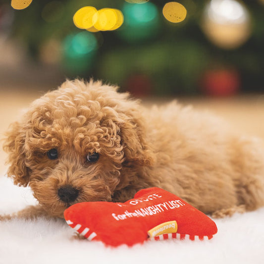 Beeztees XMAS Plüsch-Hundespielzeug Knochen 13 cm - rot/weiß - knistert Squeaker