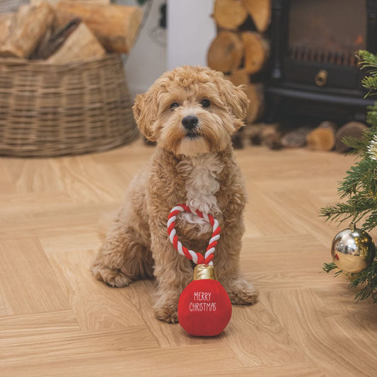 Beeztees XMAS Plüsch-Hundespielzeug Christbaumkugel 25 cm Kuscheltier Plüschtier