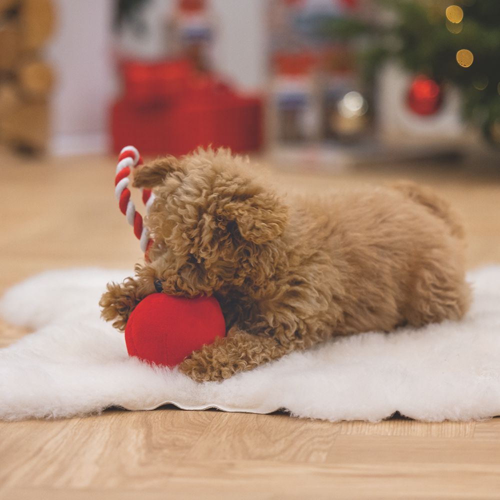 Beeztees XMAS Plüsch-Hundespielzeug Christbaumkugel 25 cm Kuscheltier Plüschtier