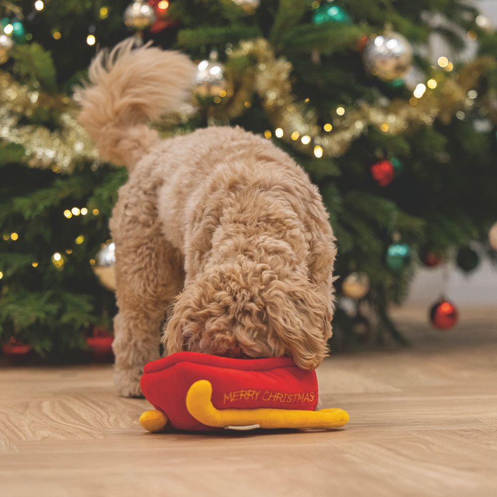 Beeztees XMAS Plüsch-Hundespielzeug Schlitten HIDE & SEEK - Geschenke knistert