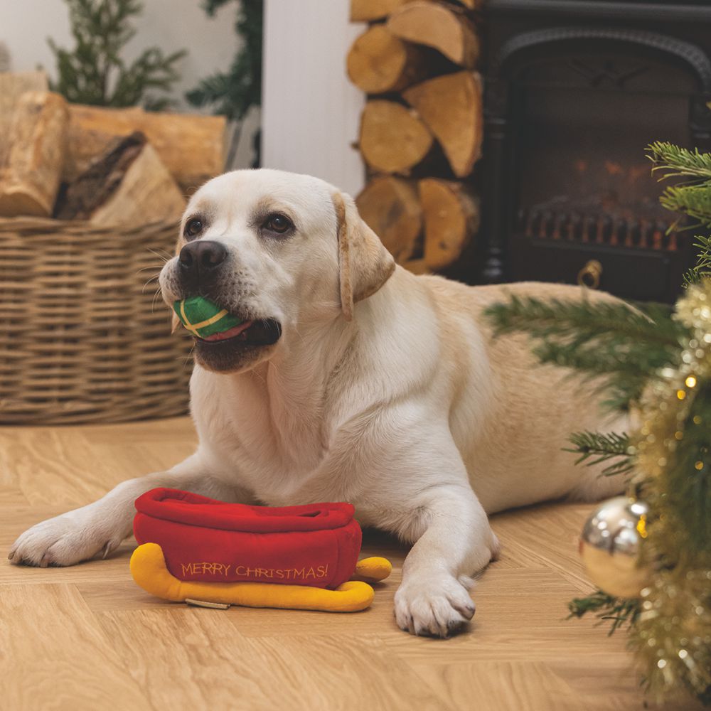 Beeztees XMAS Plüsch-Hundespielzeug Schlitten HIDE & SEEK - Geschenke knistert