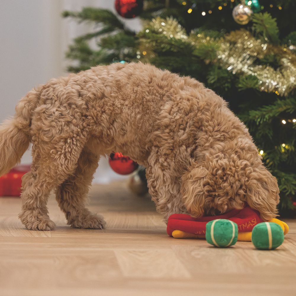 Beeztees XMAS Plüsch-Hundespielzeug Schlitten HIDE & SEEK - Geschenke knistert
