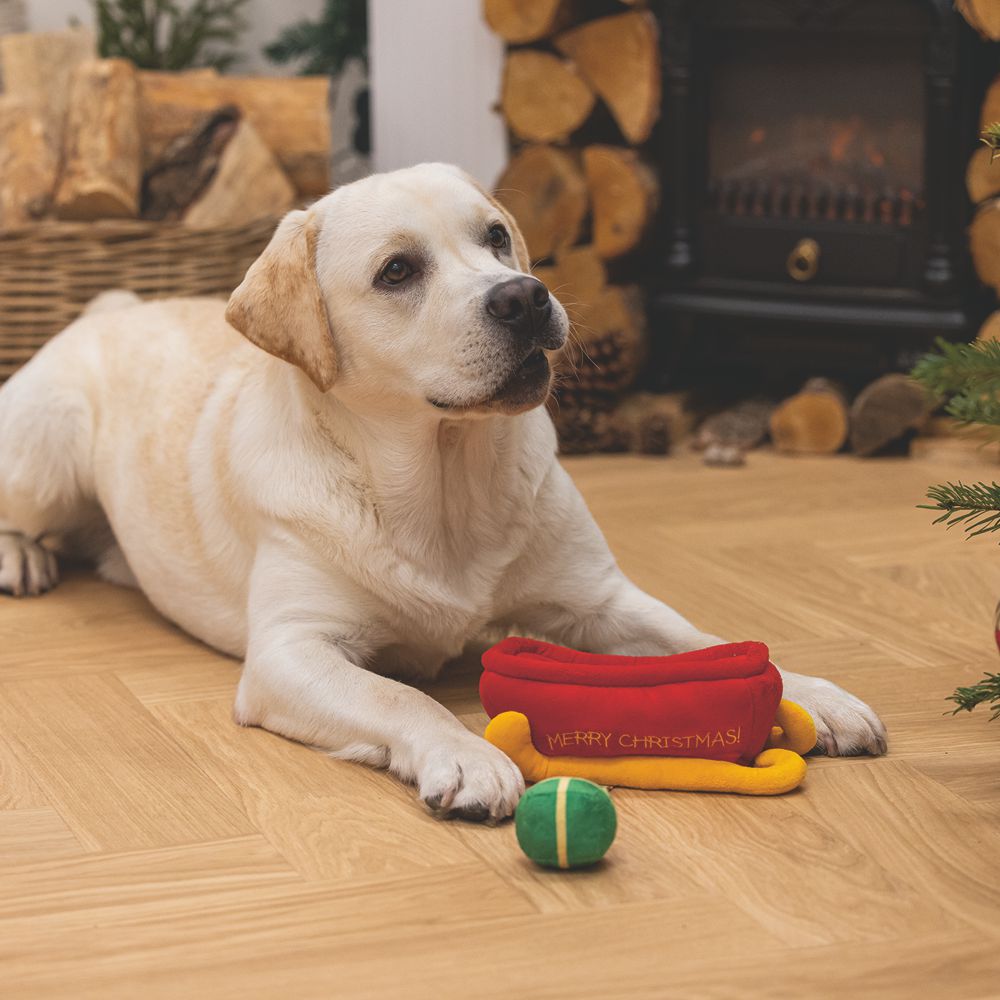 Beeztees XMAS Plüsch-Hundespielzeug Schlitten HIDE & SEEK - Geschenke knistert