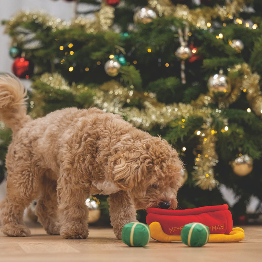Beeztees XMAS Plüsch-Hundespielzeug Schlitten HIDE & SEEK - Geschenke knistert