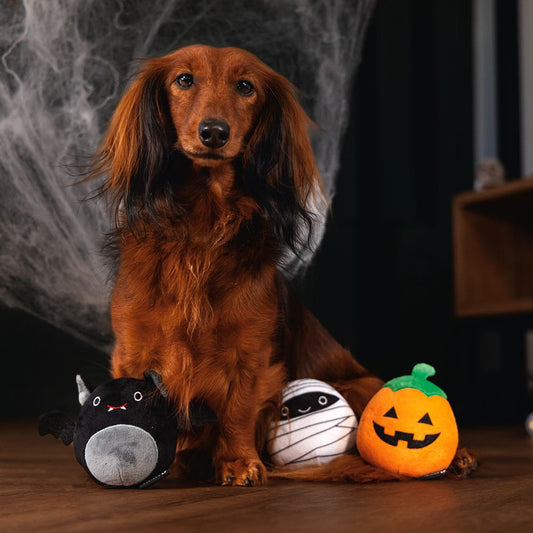 Beeztees HALLOWEEN Plüsch-Hundespielzeug TRICK OR TREAT - Kuscheltier - Squeaker