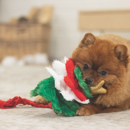 Beeztees XMAS Plüsch-Hundespielzeug Weihnachtsbaum 35 cm - knistert Kuscheltier