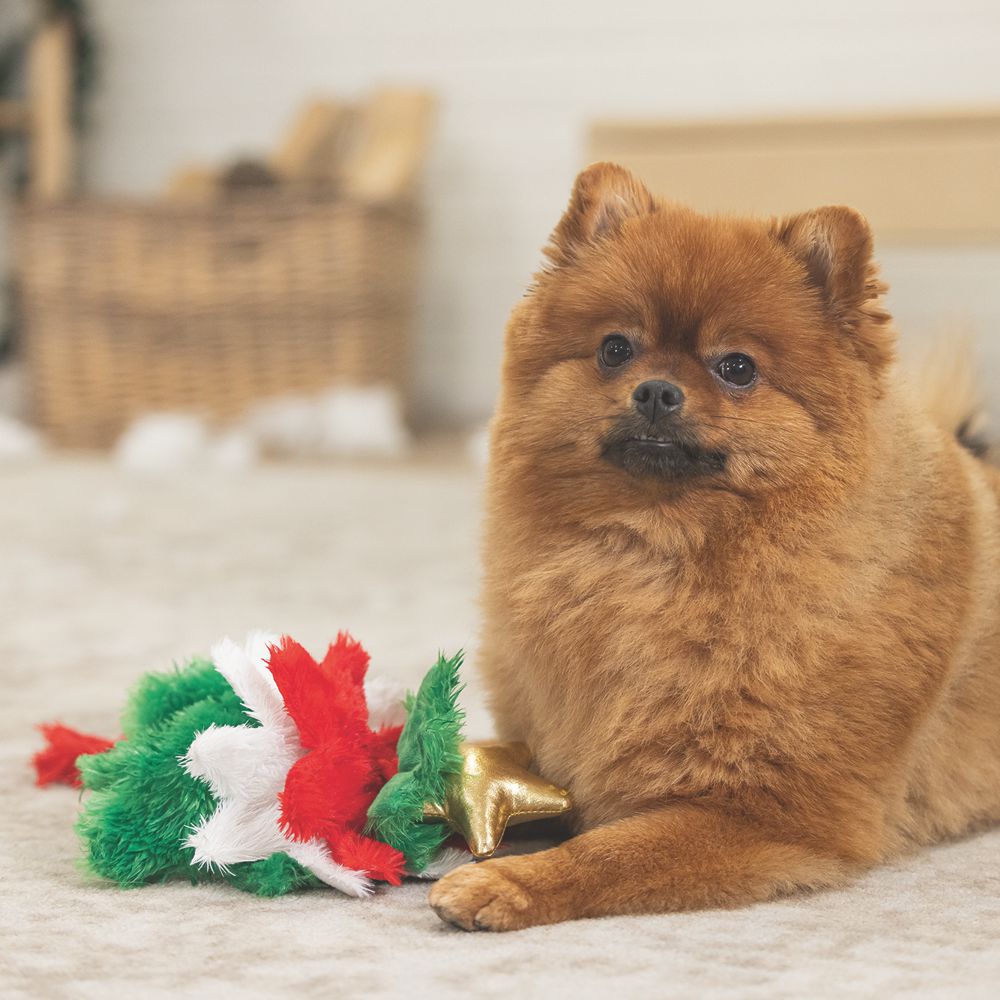 Beeztees XMAS Plüsch-Hundespielzeug Weihnachtsbaum 35 cm - knistert Kuscheltier