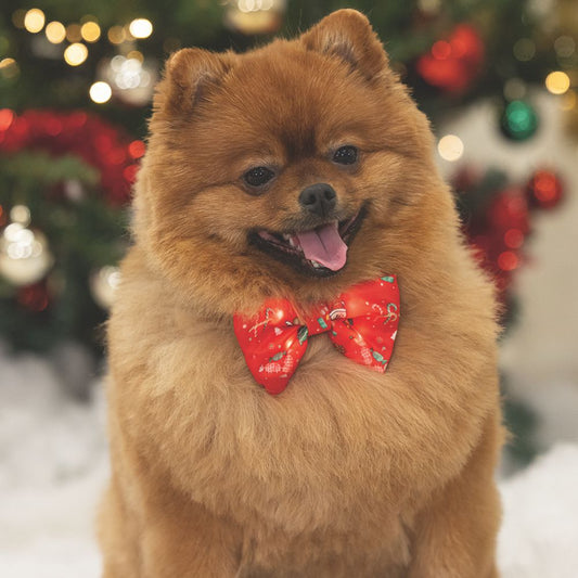 Beeztees XMAS LED Leuchtanhänger & Schleife für Halsband - Silikon Blinklicht