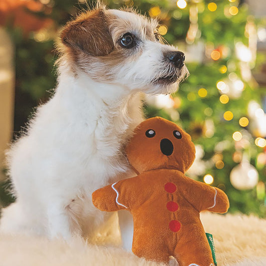 Beeztees XMAS Plüsch-Hundespielzeug Lebkuchenmann 24 cm - Kuscheltier Plüschtier