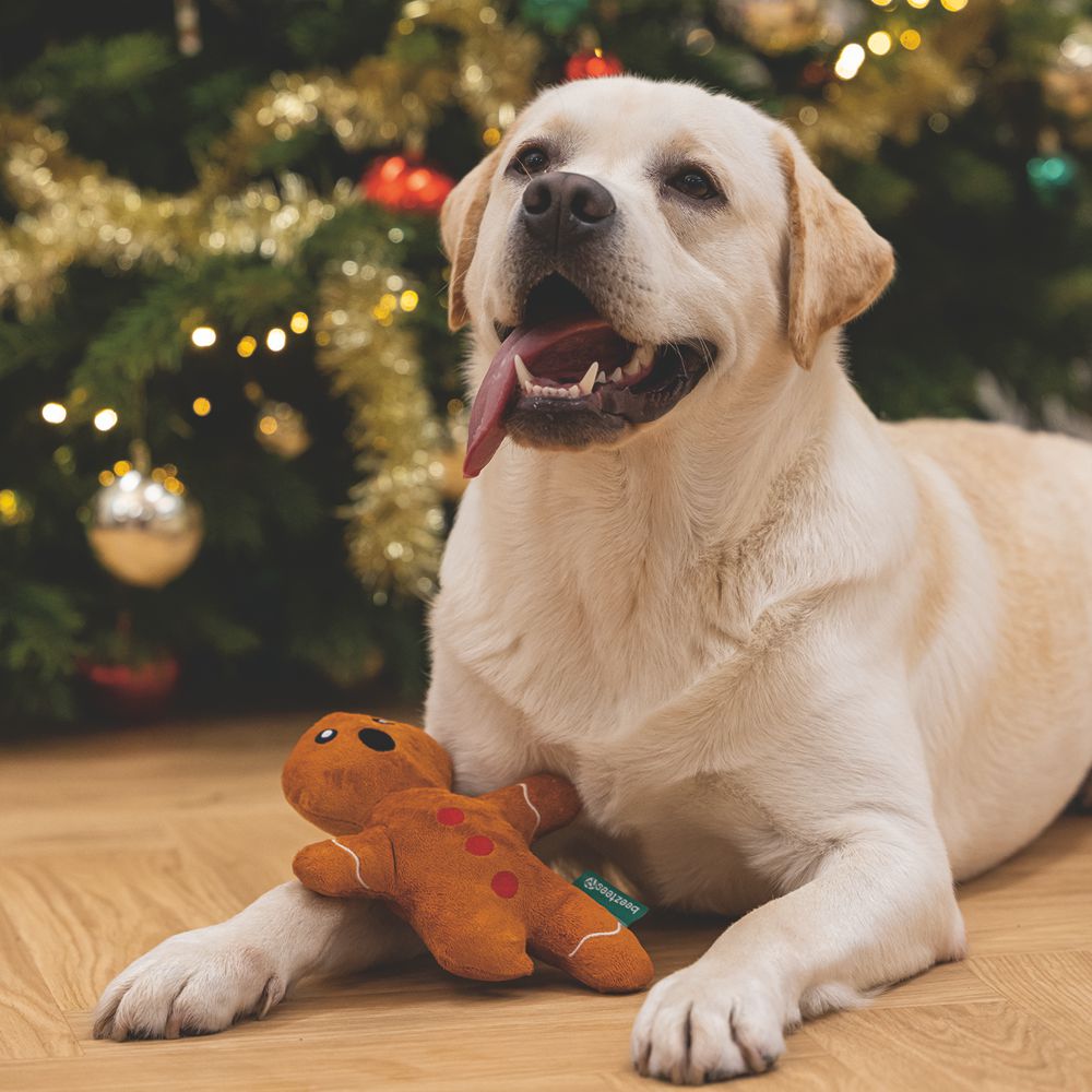 Beeztees XMAS Plüsch-Hundespielzeug Lebkuchenmann 24 cm - Kuscheltier Plüschtier