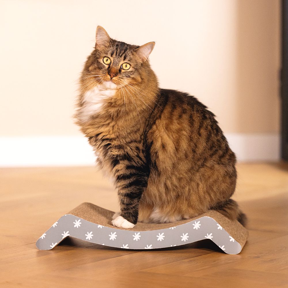 5 x 21 cm - Kratzpappe Karton mit Katzenminze