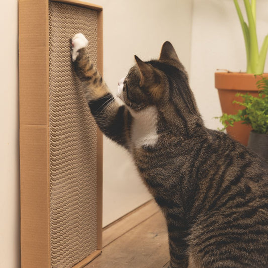 5 x 24 x 5 cm - Kratzpappe mit Katzenminze