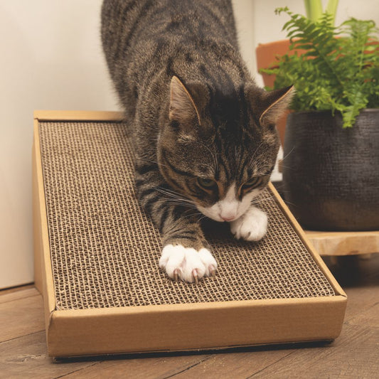 5 cm - Kratzpappe mit Katzenminze