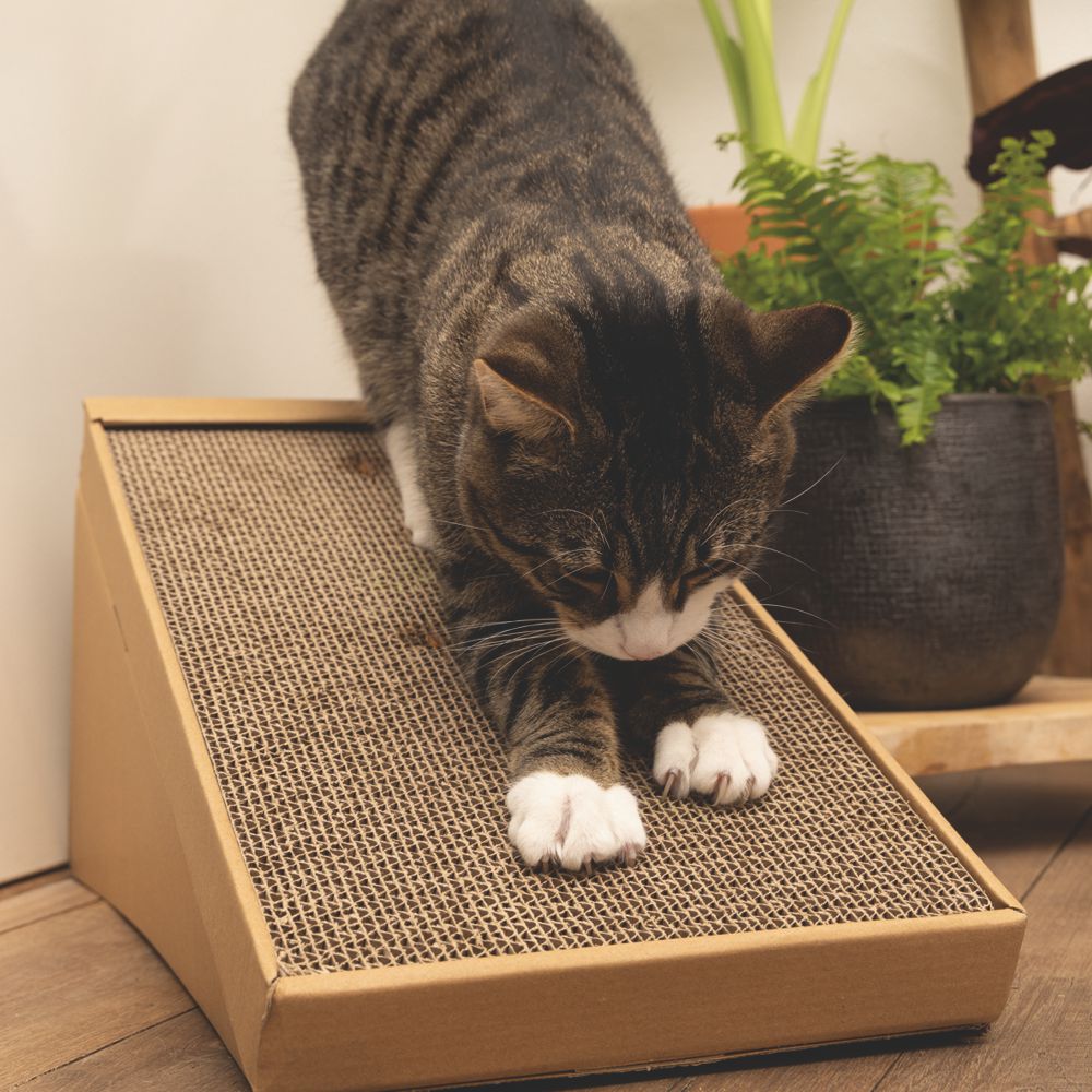 Beeztees Minus One Kratzbrett - 49 x 25 x 24