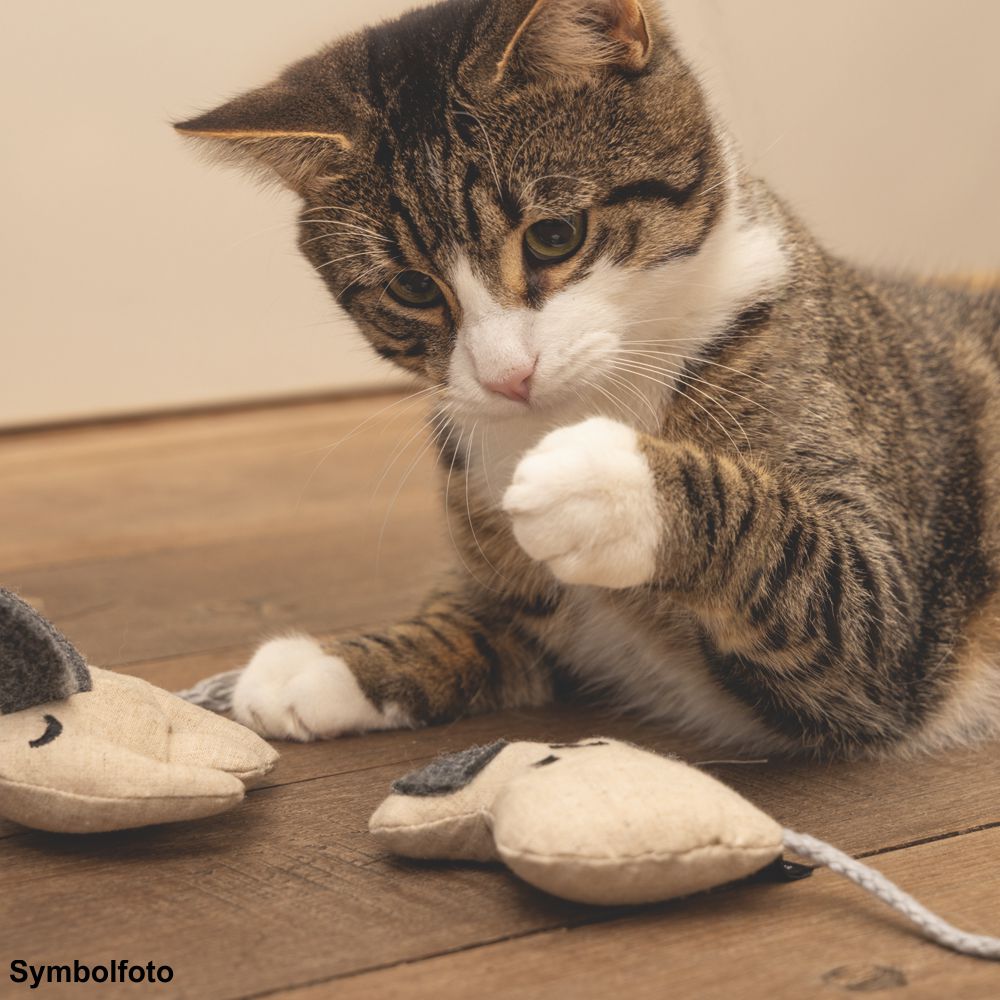 Beeztees Minus One Katzenspielzeug - Maus CODA - mit Katzenminze - Catnip