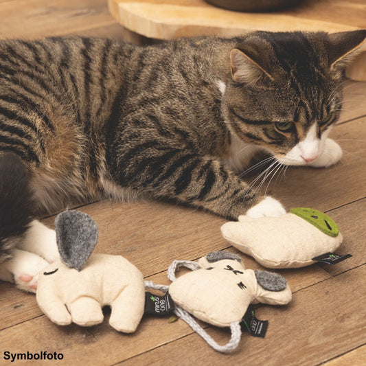 Beeztees Minus One Katzenspielzeug - Faultier SLOWLY - mit Katzenminze - Catnip