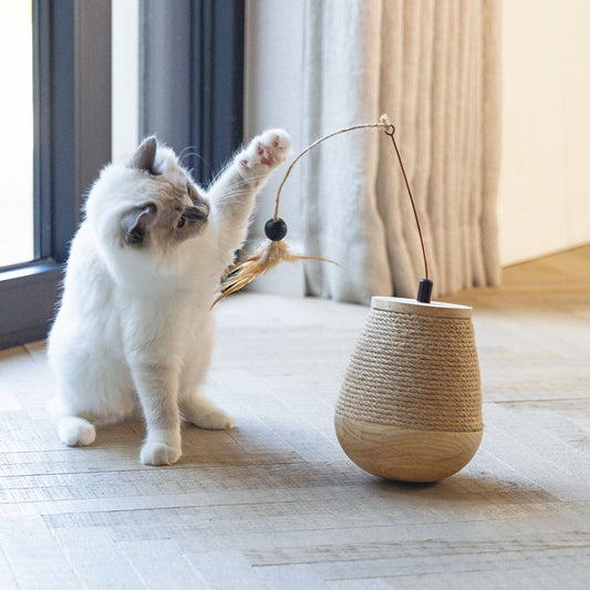 Designed by Lotte Katzenspielzeug MAE - Tumble - 15 x 18 cm - Holz - Feder Kugel