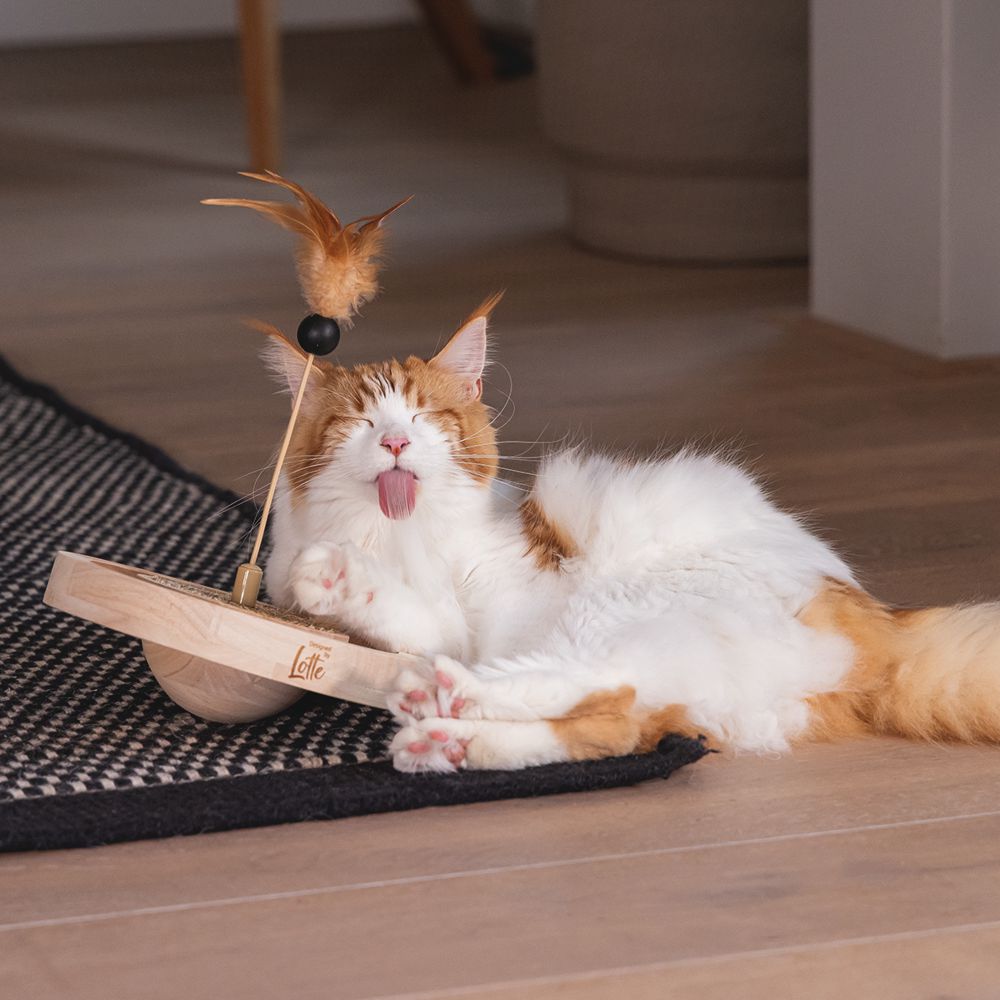 Designed by Lotte Katzenspielzeug WINNI - Ø 22 cm - Holz - 2 Kugeln Kratzbrett