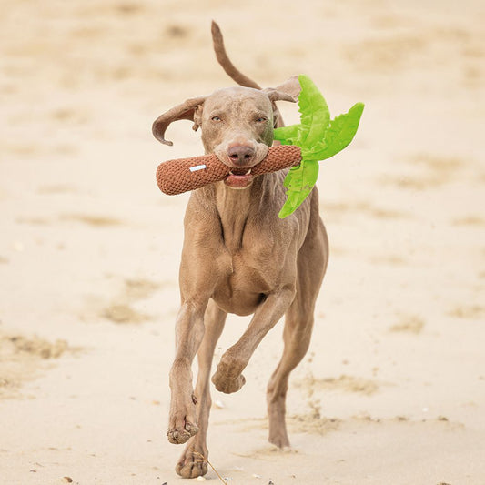 Beeztees Hundespielzeug PALME - knistert - Plüschspielzeug Apportierspielzeug