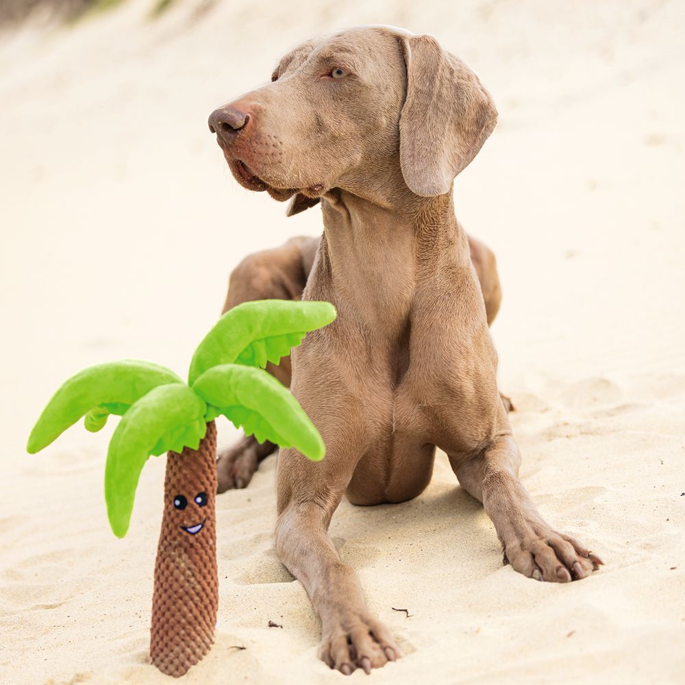 Beeztees Hundespielzeug PALME - knistert - Plüschspielzeug Apportierspielzeug