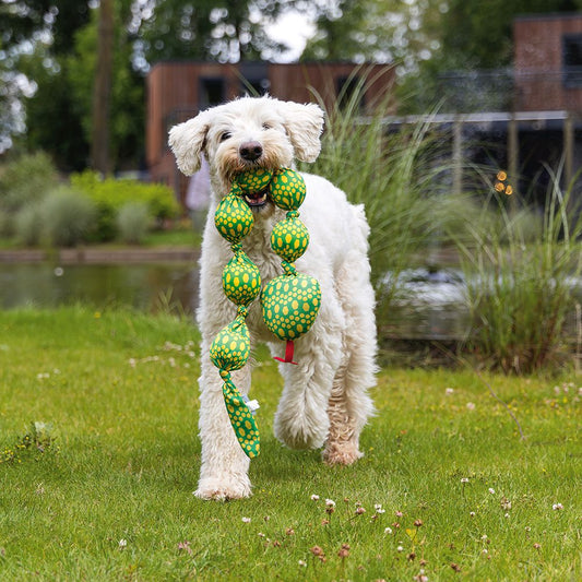 Beeztees Wasserspielzeug SCHLANGE mit Tennisbällen - schwimmt Apportierspielzeug