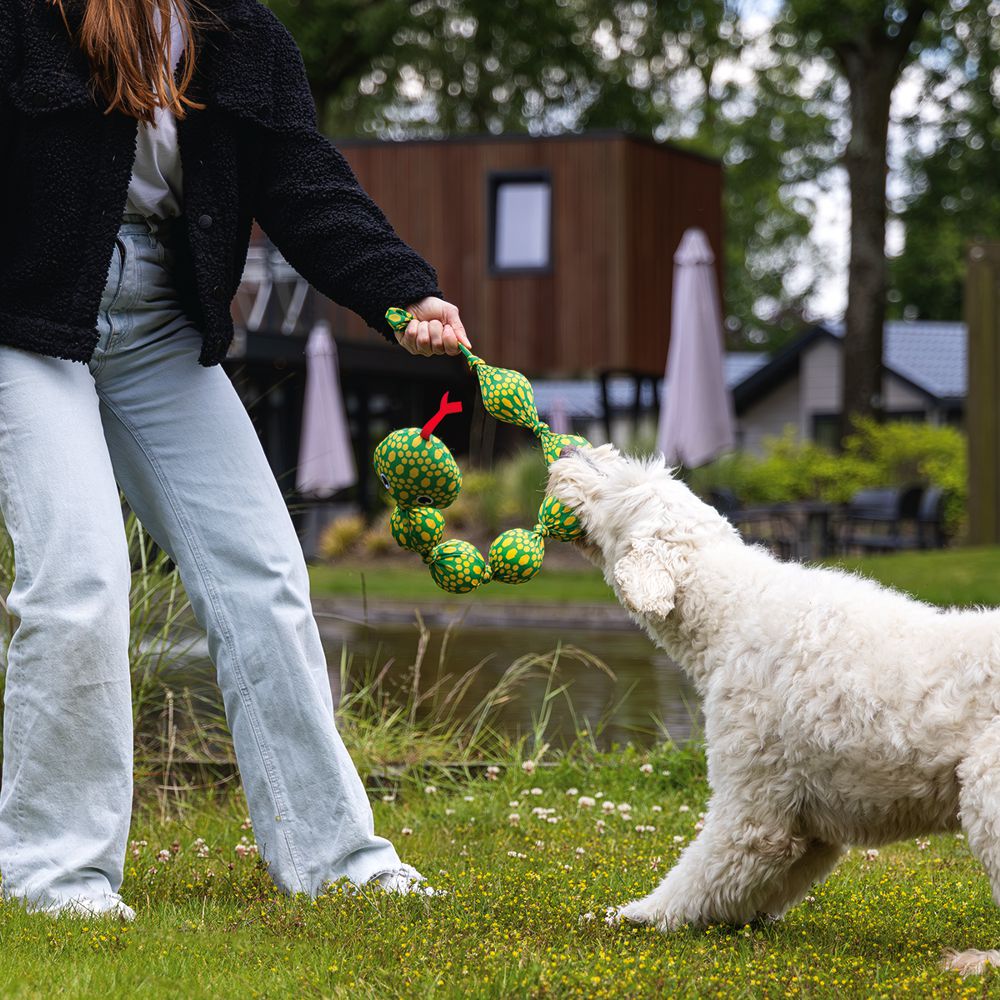 Beeztees Wasserspielzeug SCHLANGE mit Tennisbällen - schwimmt Apportierspielzeug