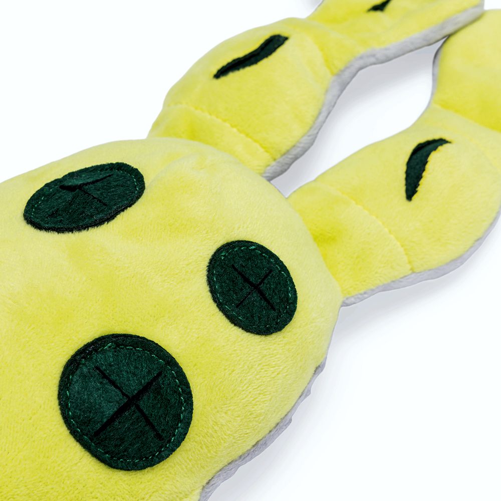 Beeztees Hide&Seek FROSCH - Snackspielzeug - Plüsch-Hundespielzeug Kuscheltier