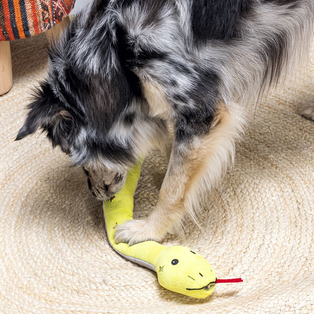 Beeztees Hide&Seek SCHLANGE - Snackspielzeug - Plüsch-Hundespielzeug Kuscheltier