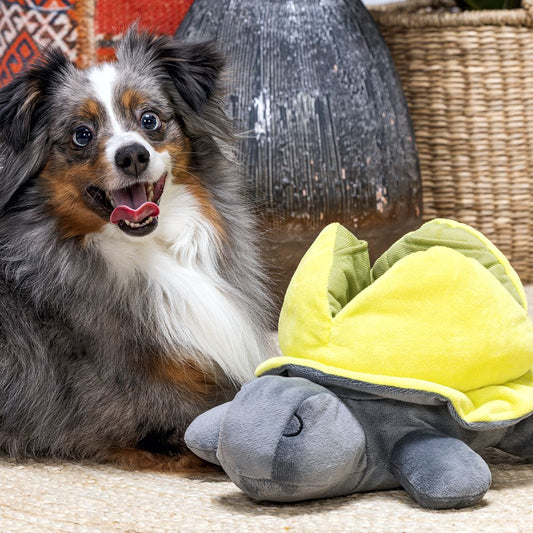 Beeztees Hide&Seek SCHILDKRÖTE - Snackspielzeug - Plüsch-Hundespielzeug Kuschel