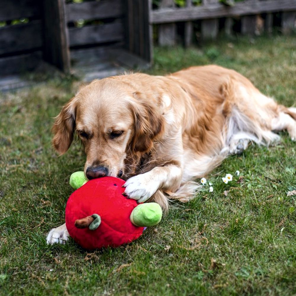 Beeztees Plüsch-Hundespielzeug - Apfel mit Wurm - Versteckspiel ohne Squeaker
