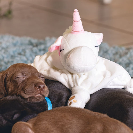 Beeztees Welpen Plüsch-Kuscheldecke EINHORN - Schmusetuch Kuscheltuch für Hunde