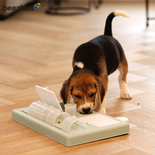 Beeztees Welpen Intelligenzspielzeug RIFF - Hundespiel Denkspiel Snackspielzeug