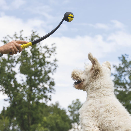 Beeztees Fetch Ball Launcher - 50 cm - schwarz gelb - Ballwerfer Hundespielzeug