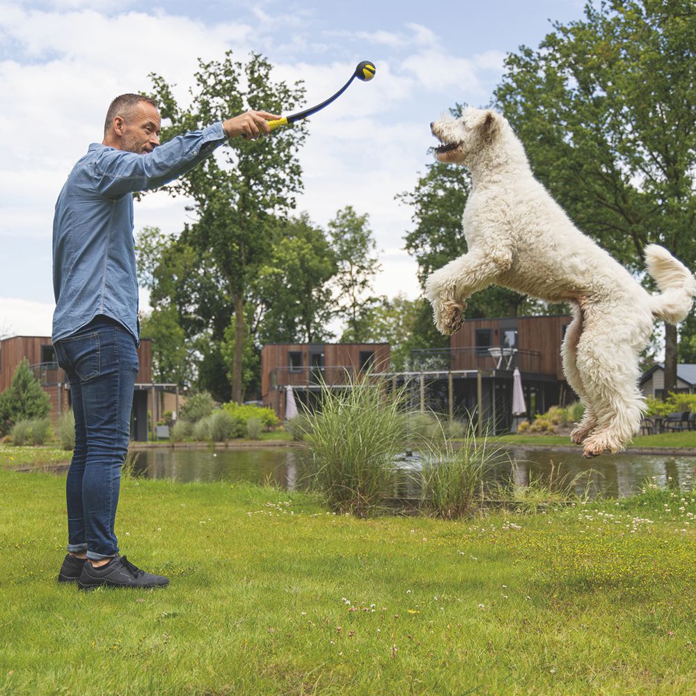 Beeztees Fetch Ball Launcher - 50 cm - schwarz gelb - Ballwerfer Hundespielzeug