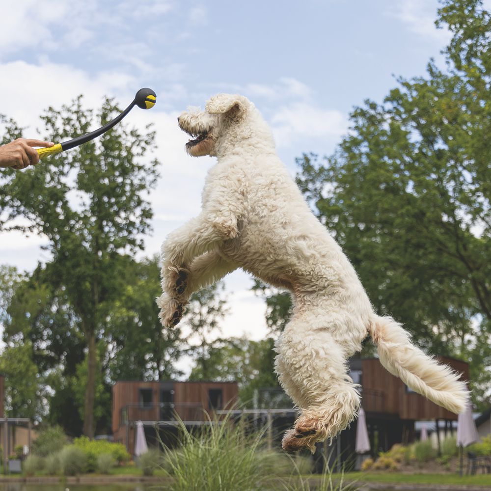 Beeztees Fetch Ball Launcher - 50 cm - schwarz gelb - Ballwerfer Hundespielzeug