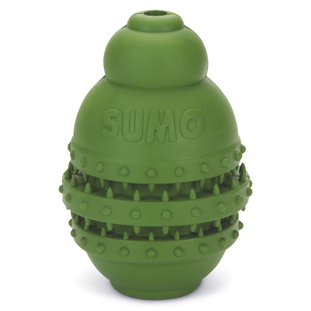 Beeztees SUMO PLAY DENTAL - L / grün