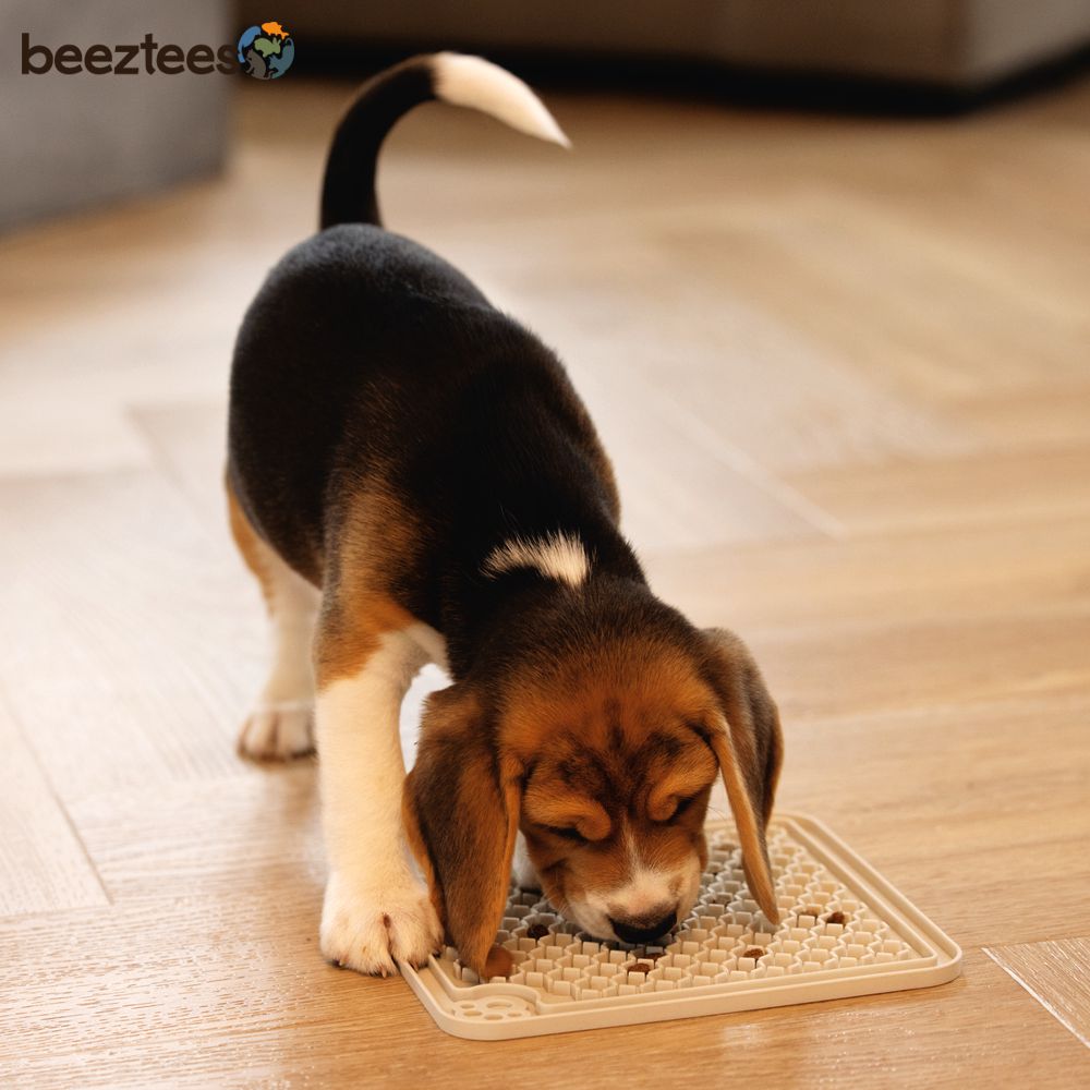 Beeztees Puppy Leckmatte - Schleckmatte Anti-Schlingmatte Silikon grau 20x20cm