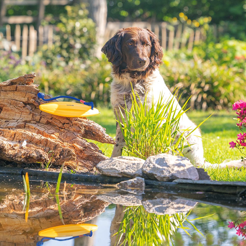 Beeztees Wasserspielzeug - TPR Lifeboard mit Seil - Surfboard Apportierspielzeug