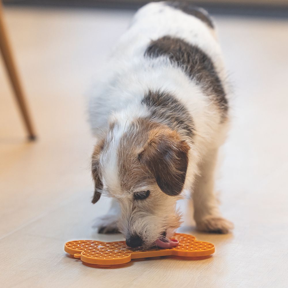 Beeztees Silikon Leckmatte Knochen - Hund Katze - Schleckmatte Anti-Schlingmatte