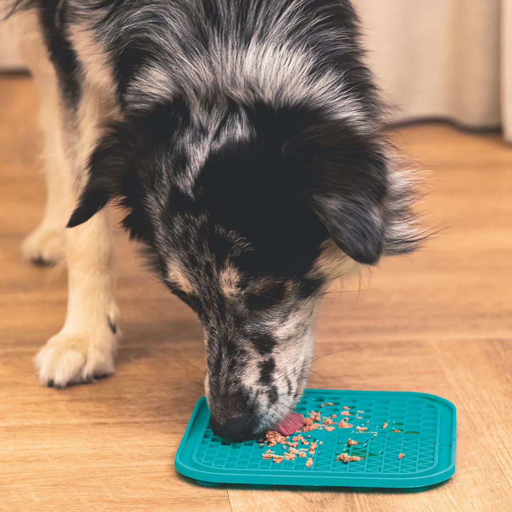 Beeztees Silikon Leckmatte Gourmet - Hund Katze - Schleckmatte Anti-Schlingmatte