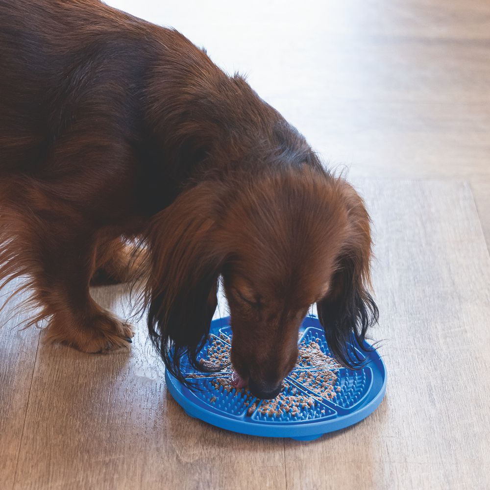 Beeztees Silikon Leckmatte Pizza - Hund Katze - Schleckmatte Anti-Schlingmatte