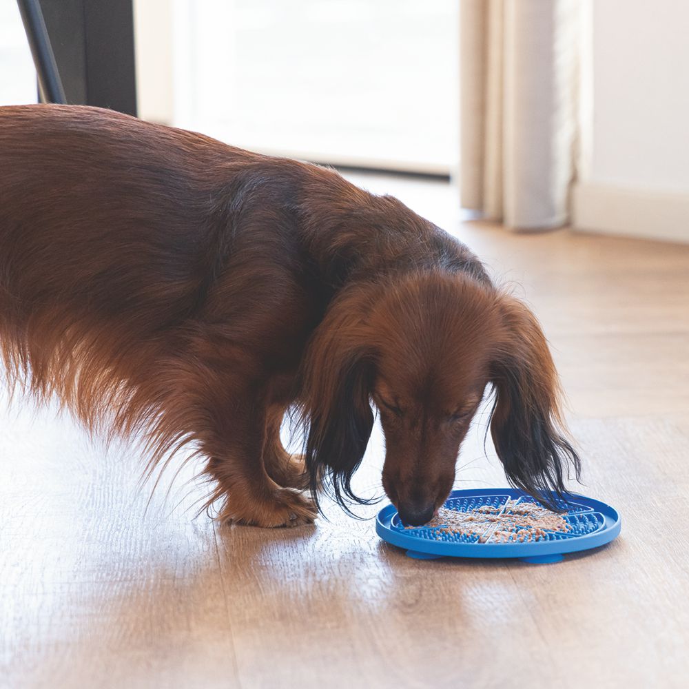 Beeztees Silikon Leckmatte Pizza - Hund Katze - Schleckmatte Anti-Schlingmatte