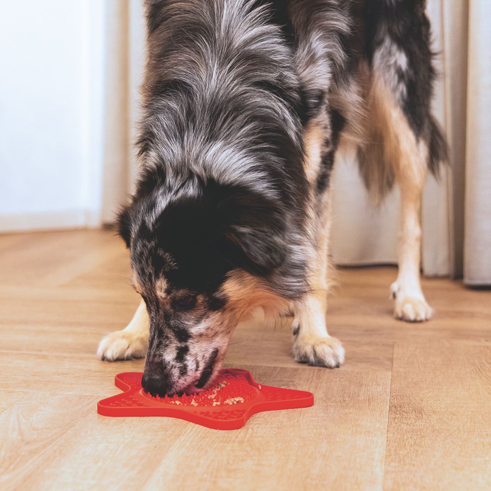 Beeztees Silikon Leckmatte Stern - Hund Katze - Schleckmatte Anti-Schlingmatte