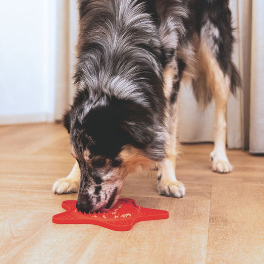 Beeztees Silikon Leckmatte Stern - Hund Katze - Schleckmatte Anti-Schlingmatte