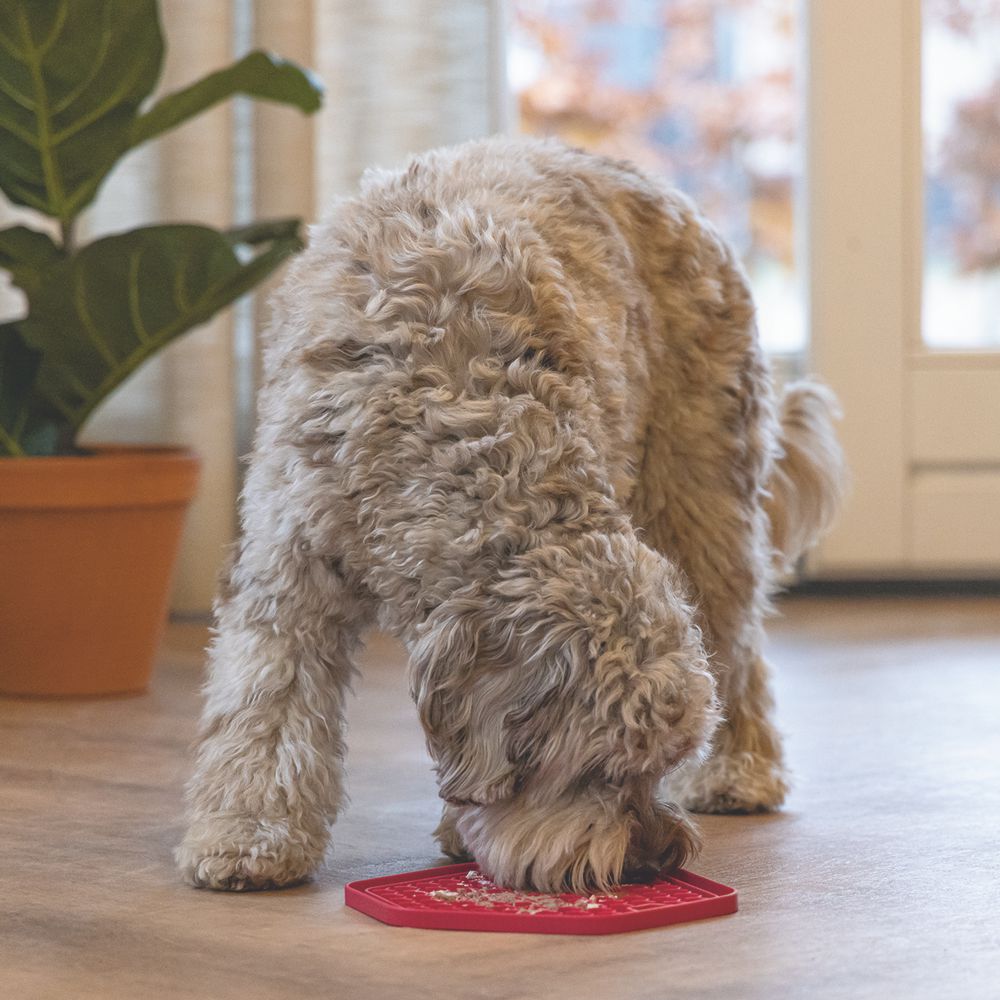 Beeztees Silikon Leckmatte Hexagon - Hund Katze - Schleckmatte Anti-Schlingmatte