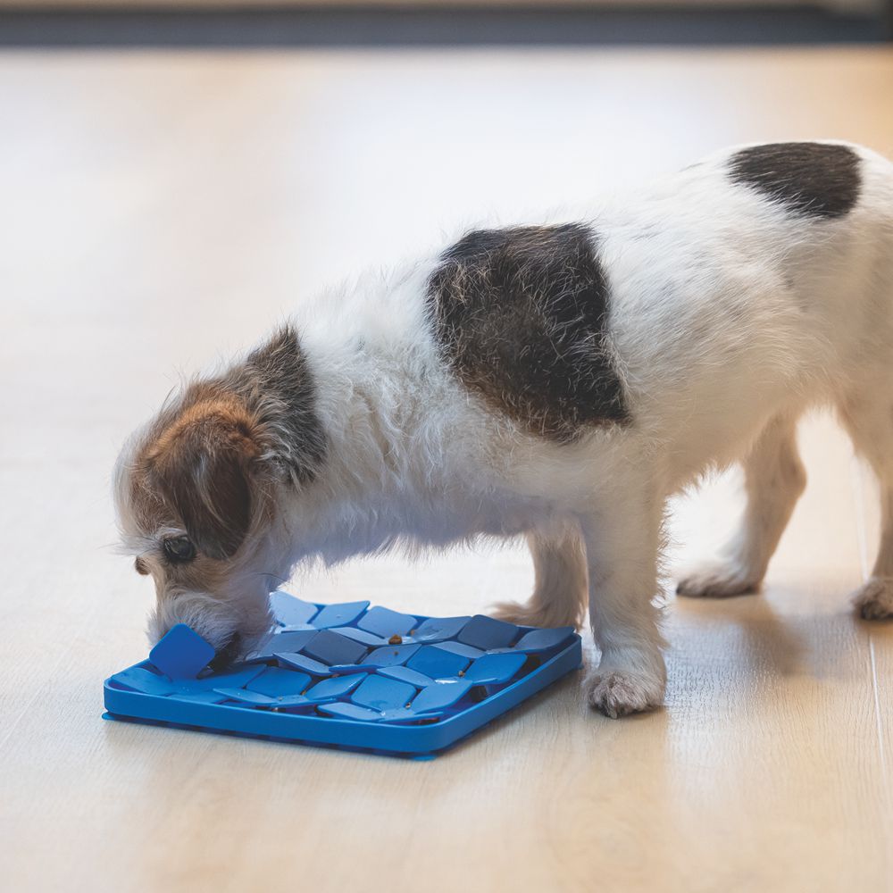 Beeztees Silikon Leckmatte Gourmet - Hund Katze - Schleckmatte Anti-Schlingmatte