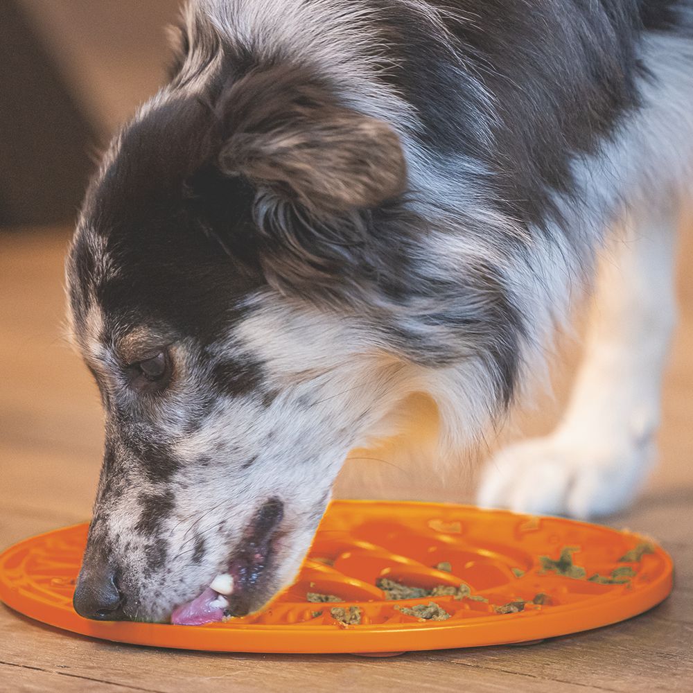 Beeztees Silikon Leckmatte Sonnenblume - Hund - Schleckmatte Anti-Schlingmatte